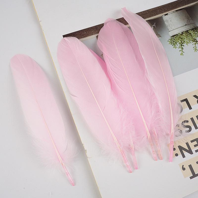 50Pcs Shellfish Feather Goose Feather Diy Handmade Jewelry Accessories Handicrafts Cat Toys Decorative Feathers
