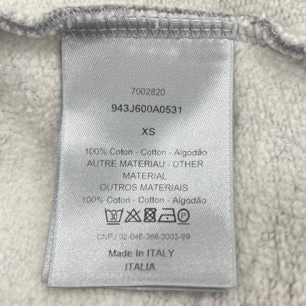 Dior XS MENS CD Icon Hoodie gray Model K4311