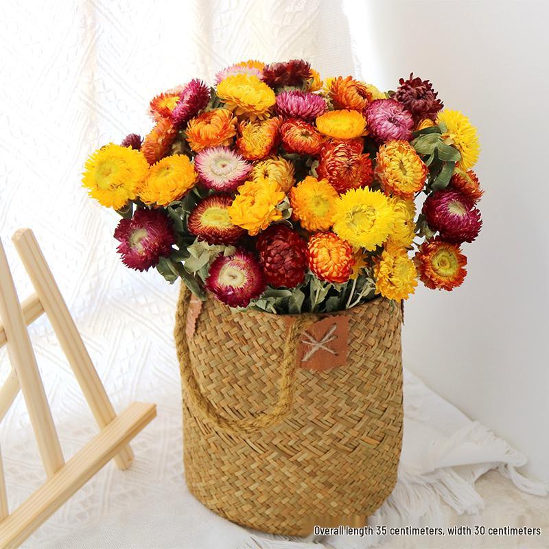 Daisy Dried Flower Bouquet for Living Room and Bedroom Décor - Natural Yunnan Flowers for Display or Photo Props