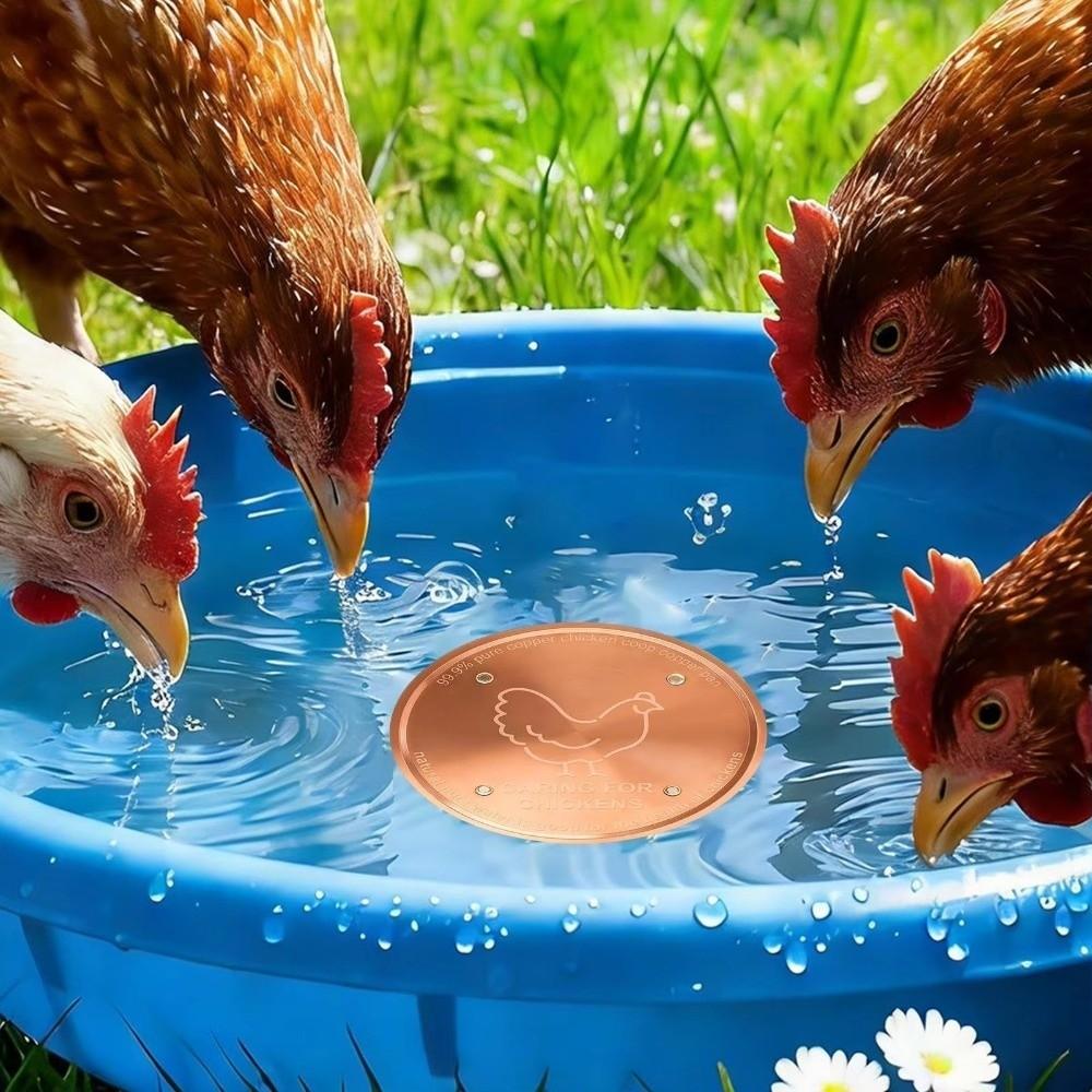 10cm Bird Bath Disk Round Cleaning Plate Bird Bath Water Fountain  for Garden Patio Lawn Fountain