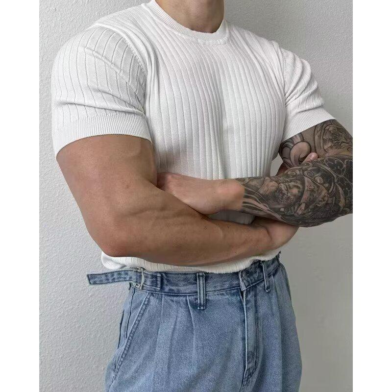 Men's Summer Slim Fit Polo Shirt - Korean Style, Turn-Down Collar, Solid Color, Casual Thin Knit