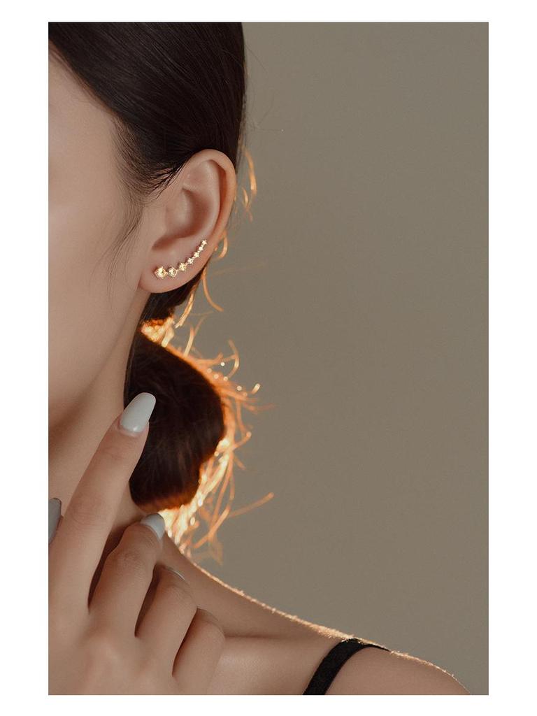 Banyan Tree S925 Silver Zircon Earrings - Elegant & Stylish Ear Hooks for Women