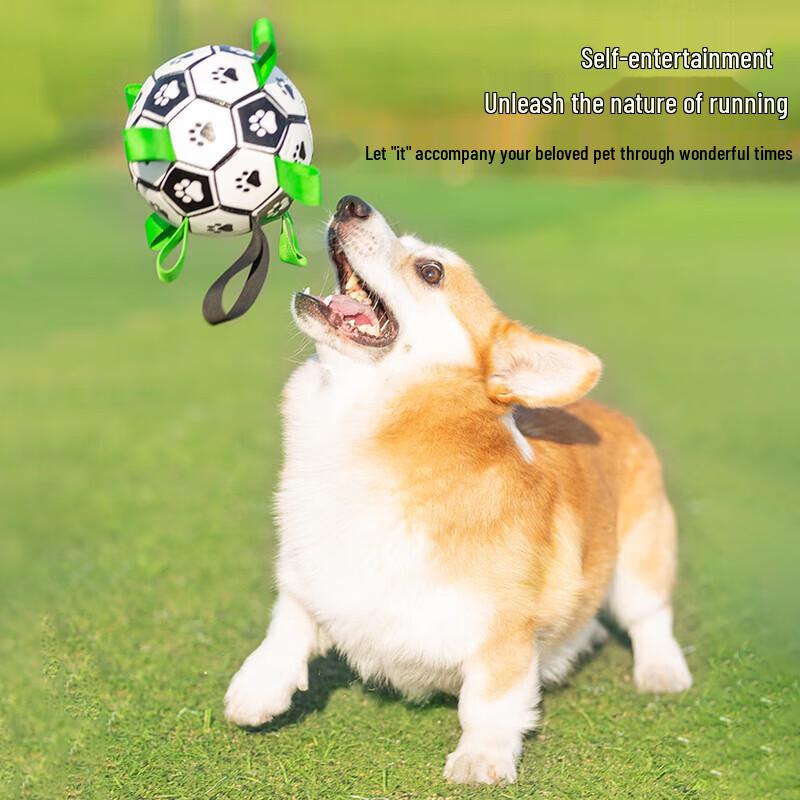 Interactive Dog Soccer Ball Toy