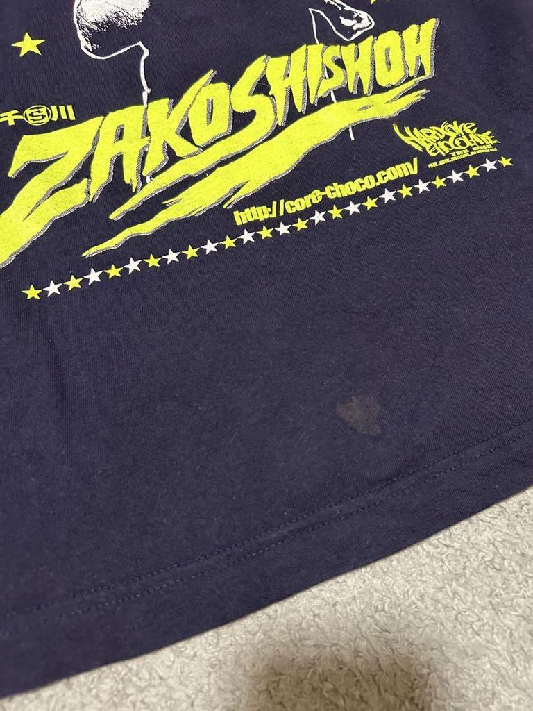 [USED] Hollywood Zakoshishou anime band movie live tour american casual y2k