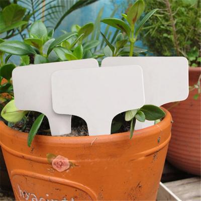 Durable White Plastic Plant T-type Tags for Garden Seedling Tray Pots Decoration and Labels 6x10cm