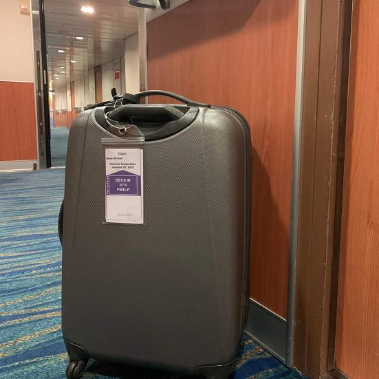 Porta Etichette Per Bagagli Holland America (8 Pezzi) | Trasparenti Con Zip E Anelli Acciaio | Per Crociere E Carnival