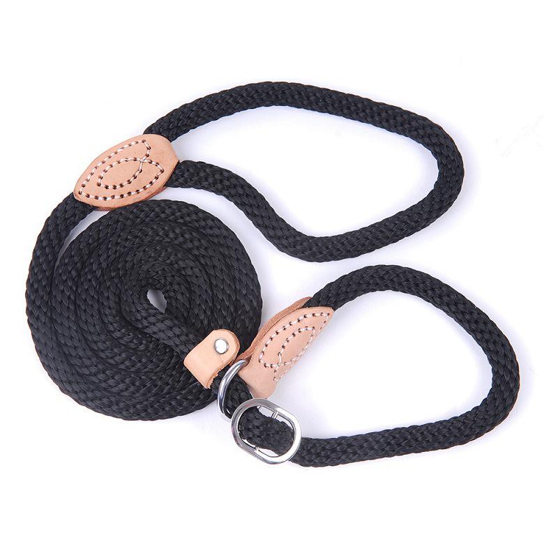 Anti-Bite 5m Iron Chain Dog Leash & Collar Set