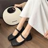 Coarse Heel Small Leather Shoes Women's 2025 Spring and Summer New Fashionable Versatile Retro Light Mouth Buckle Single Shoes