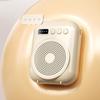 with Belt Wireless Voice Amplifier Lightweight Sound Amplifier Classroom Sound Speaker  Travel