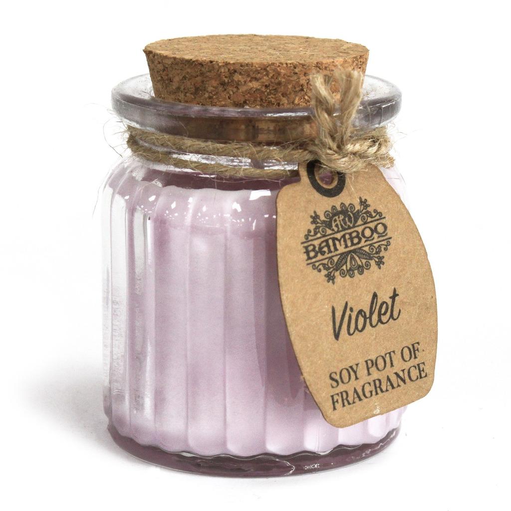 2x Soy Wax Scented Jar Candles, Violet 2 Pack