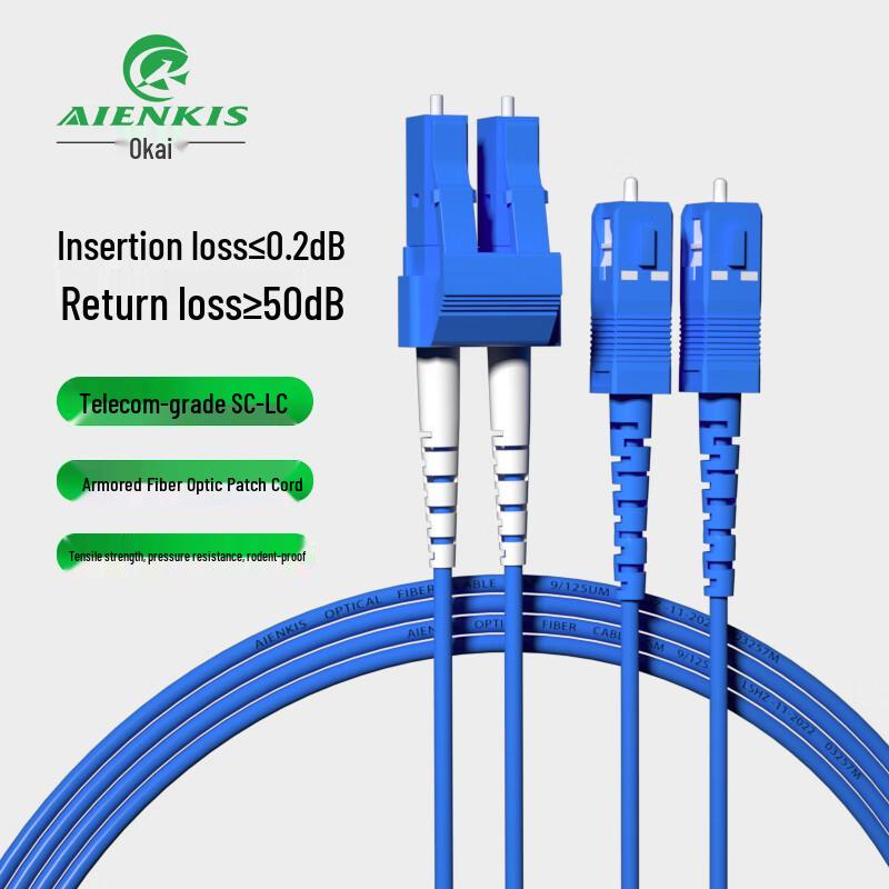 

AIENKIS AK-LS03-KSM Armored LC-SC Single-Mode Duplex Fiber Patch Cable 3m