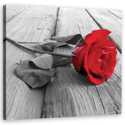 Quadro em tela Rosa vermelha