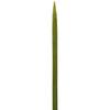 Commercial-Grade Teppo Skewers, 18cm, Pack of 100, for Rotating Foods, 01315, Green
