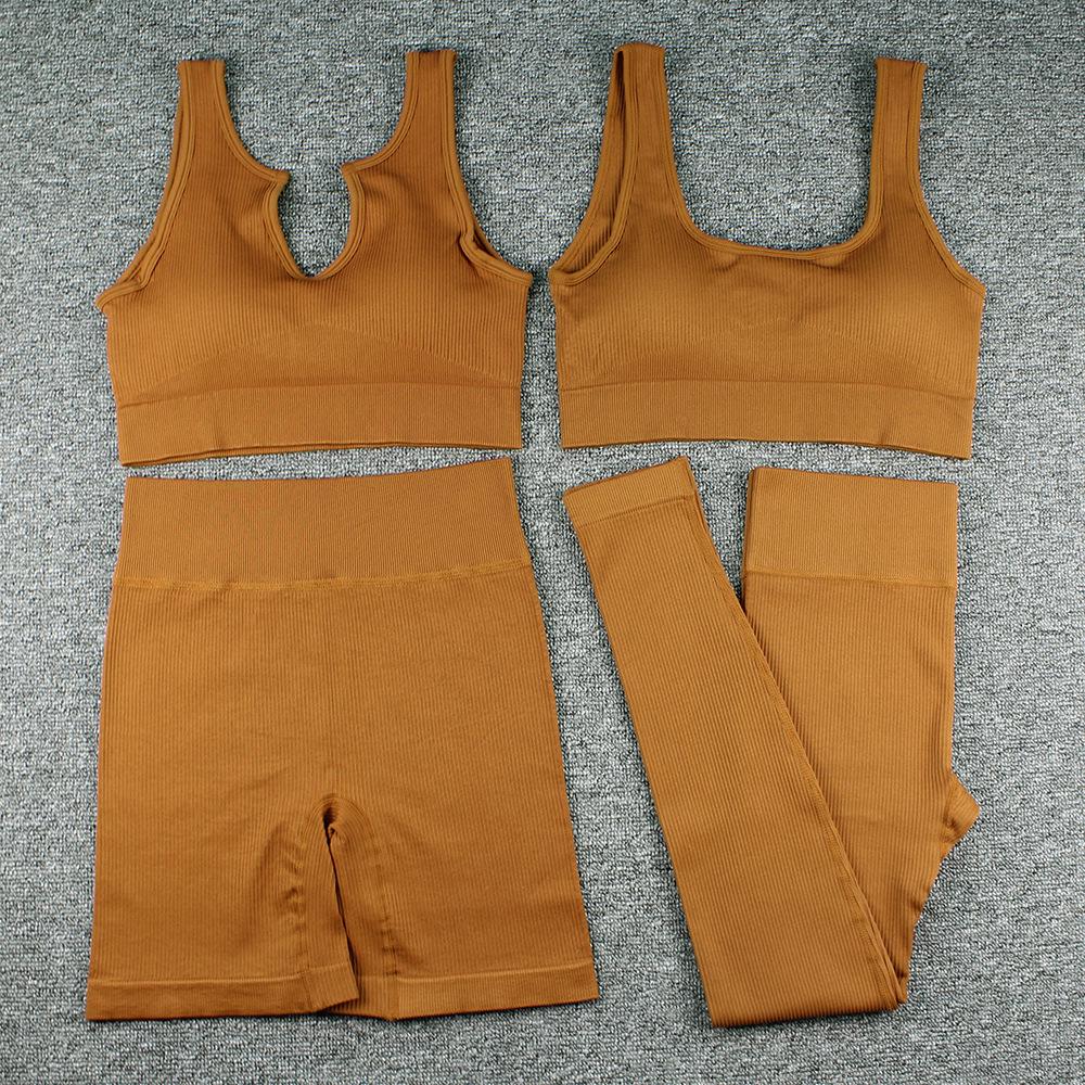 Women's Ribbed Seamless Yoga Set: Striped Sports Bra, Tank Top, Long Pants, and Shorts