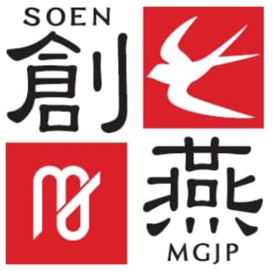 Maruyama Giken SOEN MGJP Deep Fryer IH and Gas Stove Oval for Tempura and Deep Made In Japan SE-69, Compatible, Shape, Spout, Seamless, Frying,