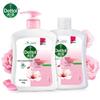 Antibacterial Moisturizing Hand Wash Family Pack