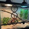 Terrarium Exercise Rings for Pet Snake Reptiles Safe And Engaging Climbing Toy For Pet Lizards And Small Animals
