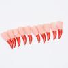 10pcs Halloween Zombie Fingertips Nail Prop Witch Decoration Party Nail Ornament