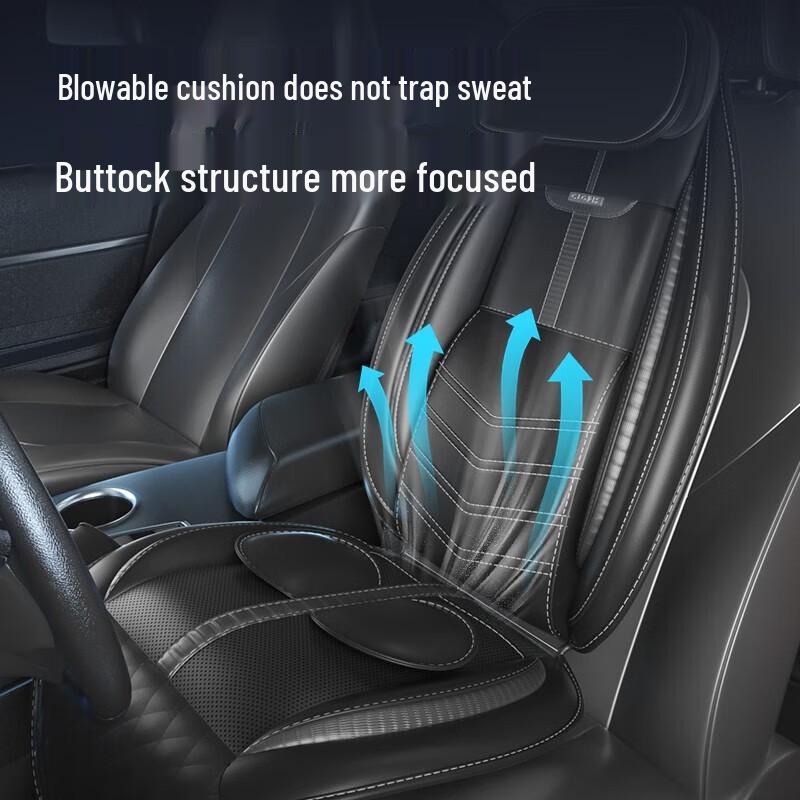 

CLORIS Smart Home & Car Massage Cushion