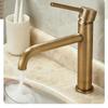 Vintage Brass Single Handle Lavatory Faucet