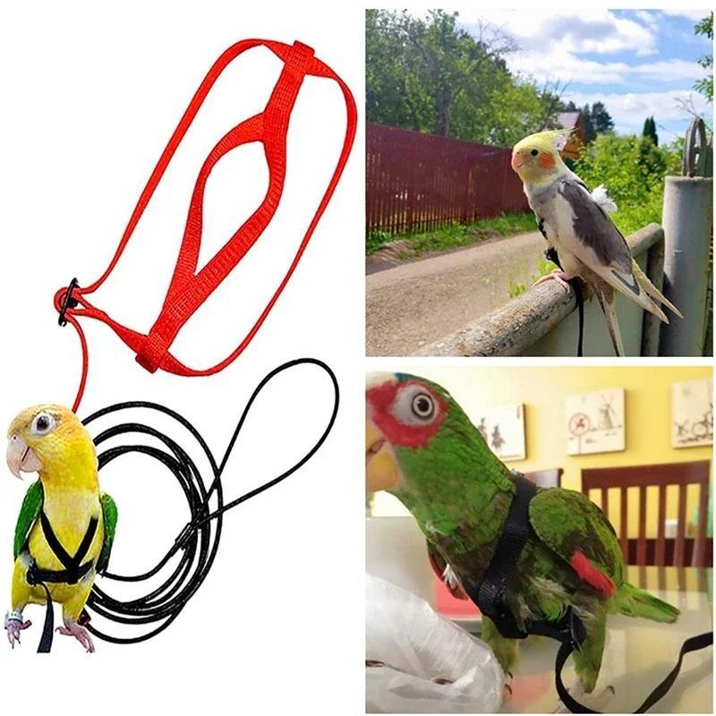 Hot sale Ready Stocked Anti-Bite Training Rope Bird Leash Parrot Flying Harness