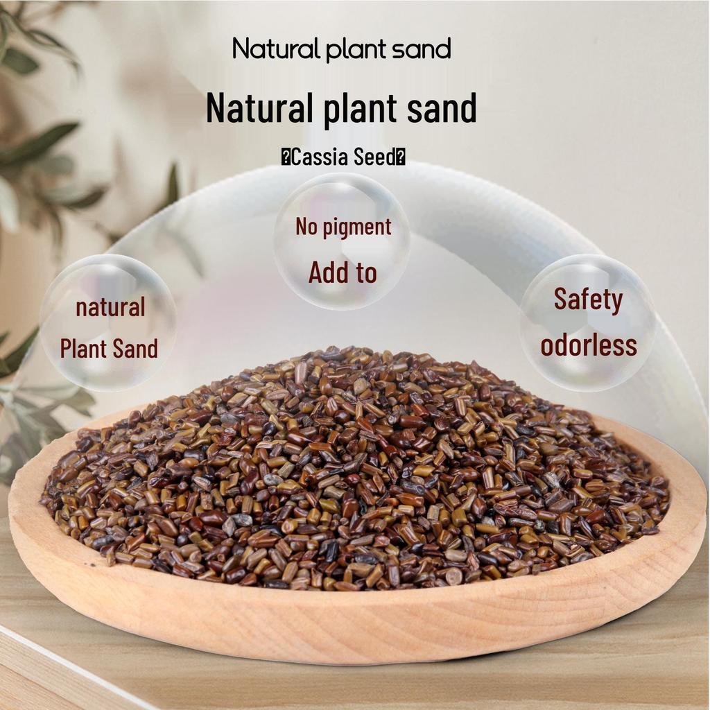 Children's Beach and Sand Play Set: Digging, Water Play, Shell Collecting, and Gardening Tools.