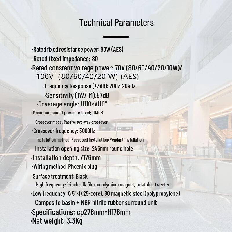 TAKSTAR EBS-630A Embedded Ceiling Speaker CN plug (adapter included)