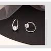 925 Sterling Silver Zircon Earrings for Women, Fashionable and Exquisite Trendy Earrings, Earrings, Light Luxury Korean Style Earrings