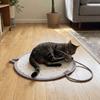 Wear-Resistant Cat Scratching Toy Scratch Resistant Dog Mattress Pet Sleeping Mat  Apartment