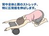 Hata Sports Equipment Industry Travel Foam Roller Mini FSS300