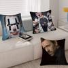 Medical Drama House MD TV Show Pillow Gift Home Office Decoration Bedroom Sofa Car Cushion Cover Case 45x45