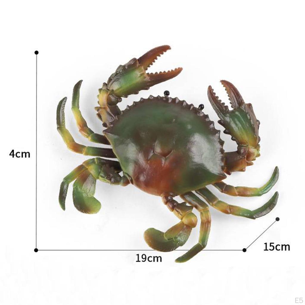 Model Toy, Party Favors Sea Animal Educational Animals for Children