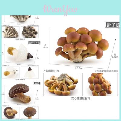 Realistic Mushroom Set Featuring Edible Shiitake Enoki Matsutake Poisonous Umbrella Decorative Models Ideal For Home Display