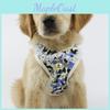 Soft Padded Dog Harness With Easy Hook And Loop Closure For Small And Medium Dogs