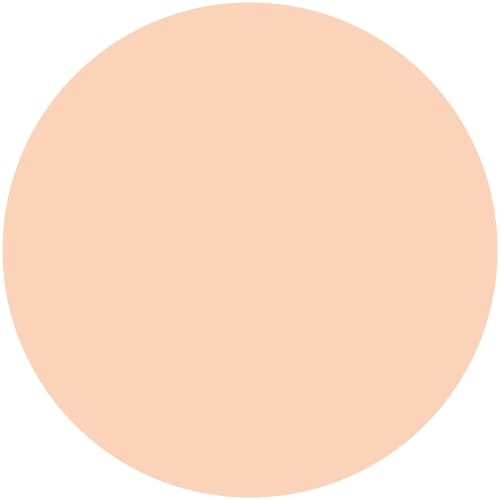 Kiss Me FERME Moist and Glossy Skin Powder Foundation Replacement 02 Natural Skin Tone 11g Suitable for Expression Lines Moisturizing Type SPF25 PA++