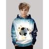 Autumn Winter 3D Football Printed Hoodies Fashionable Casual Warm Sports Long Sleeved Children's Boy Hooded Sweatshirts
