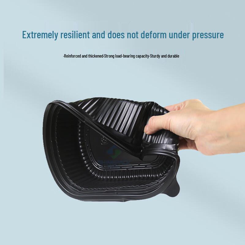 Disposable Rectangular Plastic Food Containers with Lids