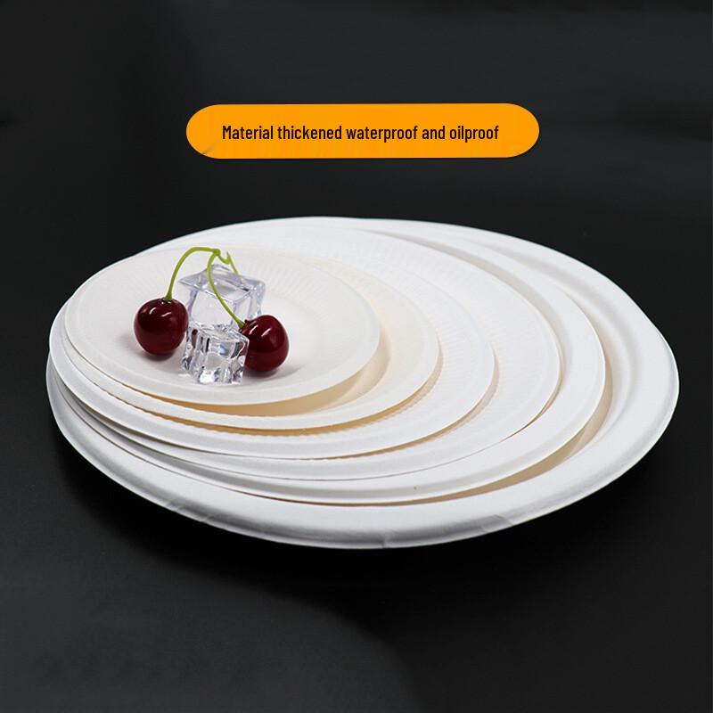 Churong Disposable 9-inch Round Plates, 100 Count