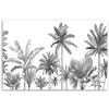 Canvas Print, Black and White Palms