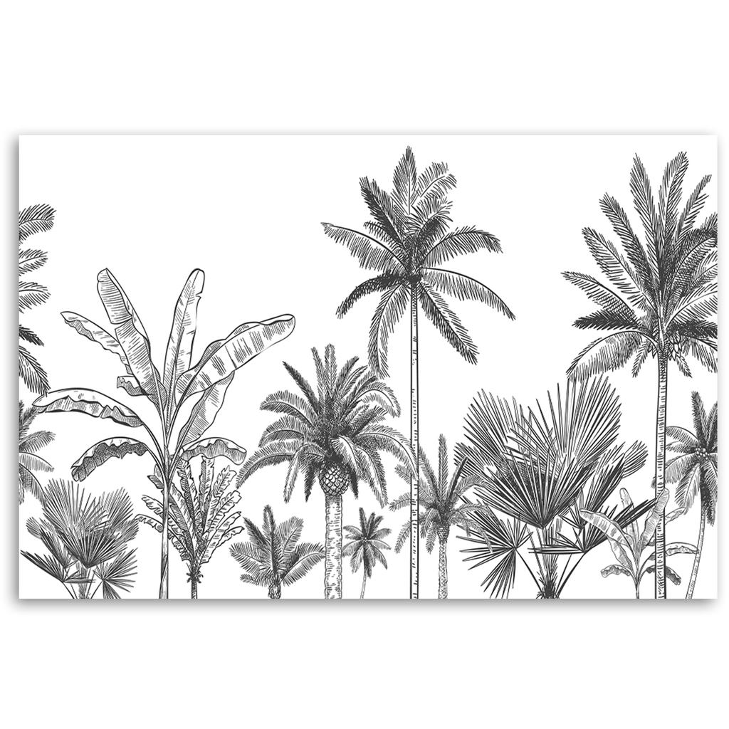 Canvas Print, Black and White Palms