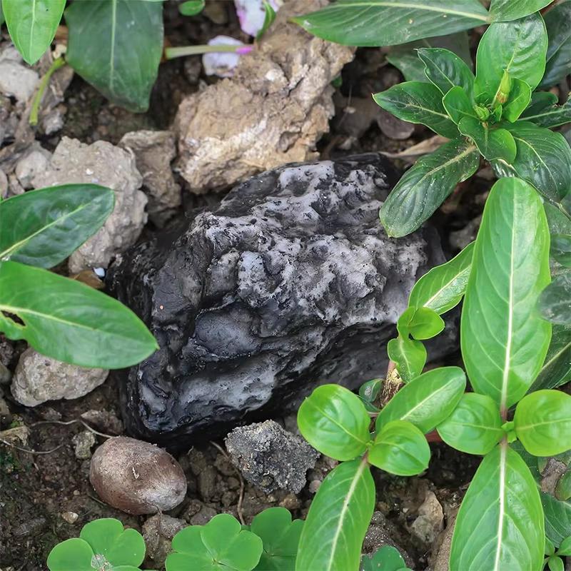 Fake Rock Key Hider Hidden Keys Storage for Outdoor Garden Rock Key Hider for Standard Sized Spare Keys Weatherproof Design