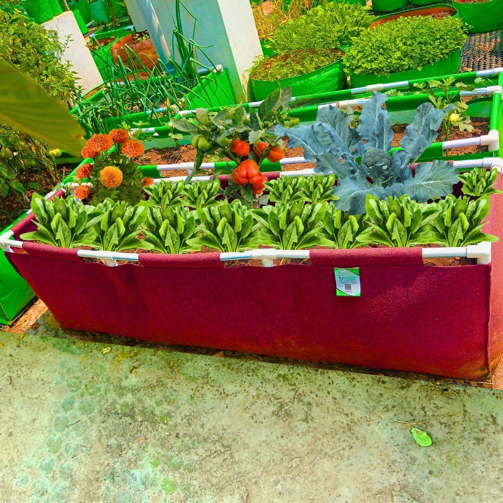 Geo Rectangle Grow Bag with Supporting PVC Pipes for Home Garden | Geo Fabric 450 GSM (Pack of 1)