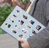 100 Korean Manga Sticker Sheets: Waterproof, Perfect for Journals, Water Bottles, and Phones