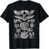 Chauves-souris Illustration Scientifique Dessin Art Biologie T-Shirt Halloween (2)
