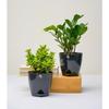 Combo of 8 Self Watering Flower Pots for Plants | Plastic Plant Pots | Planter Pots for Home, Room,Garden