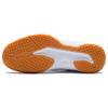Li Ning Ace 21 V1 Textile, Synthetic Leather General Training Slip Resistant, Abrasion Resistant, Breathable Low Top AYTS038-1