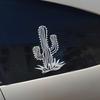 Adventure natural desert cactus car sticker can be affixed to motorcycle glass notebook waterproof  creative car sticker