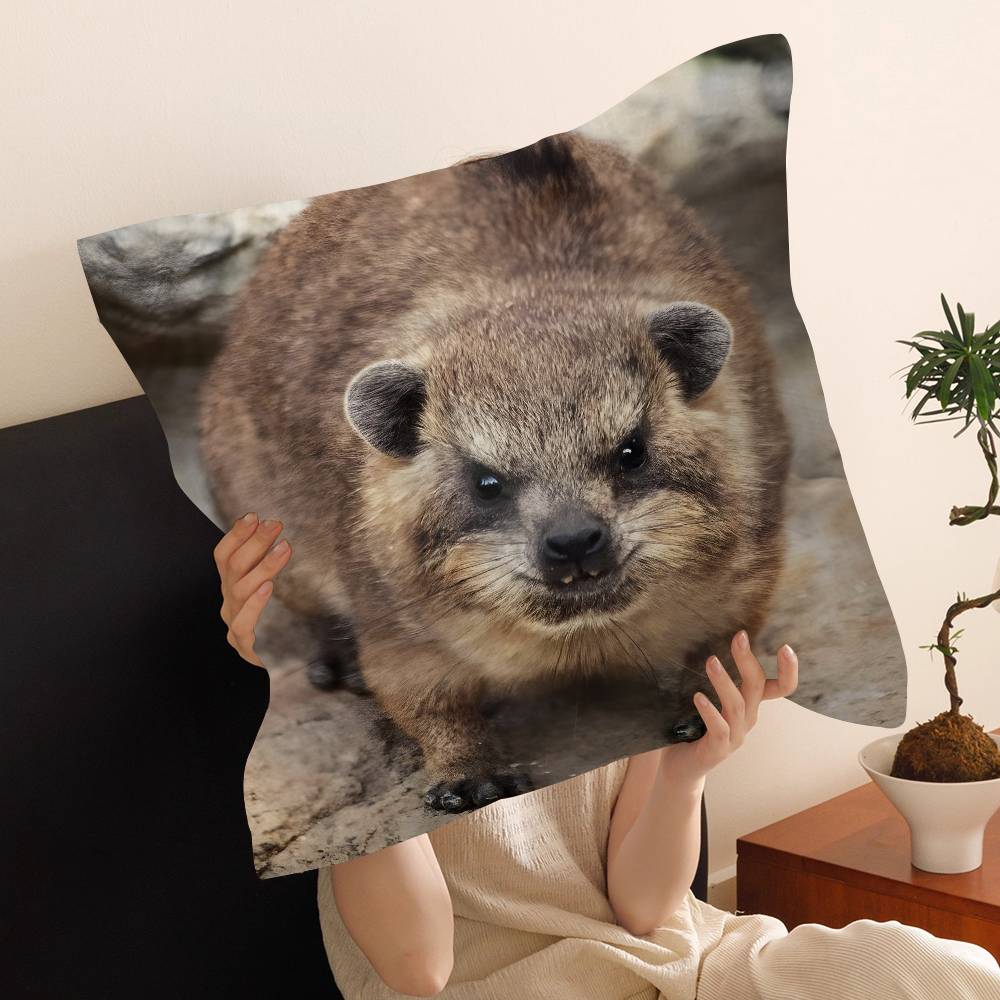 Rock Hyrax Animal Cushion Cover Pillow Cover Decor Pillowcase Printed Cushion Case for Couch