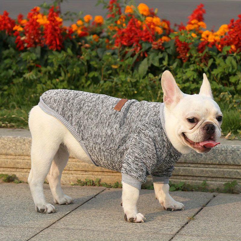 Warm Winter Dog Clothes French Bulldog Sweatshirt Pet Pullover