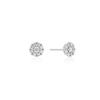 Essence Silver (W) Flower Earrings Hl4E55424W9Xxx
